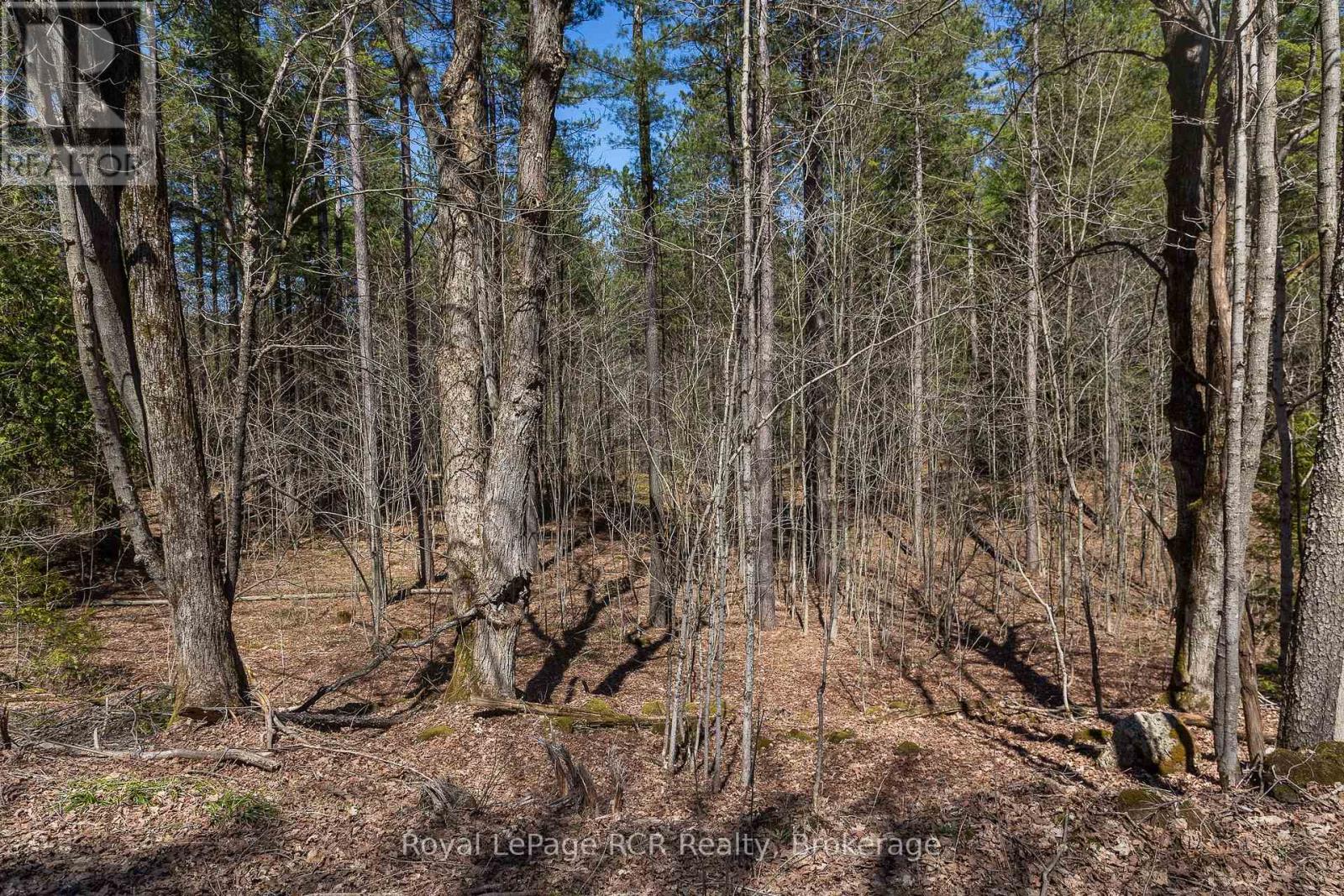Lot 53/54 West Back Line, Chatsworth, Ontario  N0C 1H0 - Photo 2 - X13048708