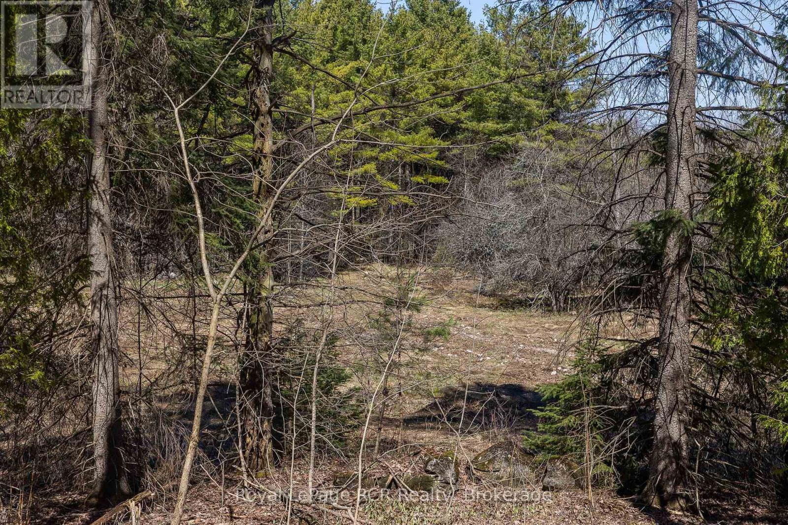 Lot 53/54 West Back Line, Chatsworth, Ontario  N0C 1H0 - Photo 21 - X13048708