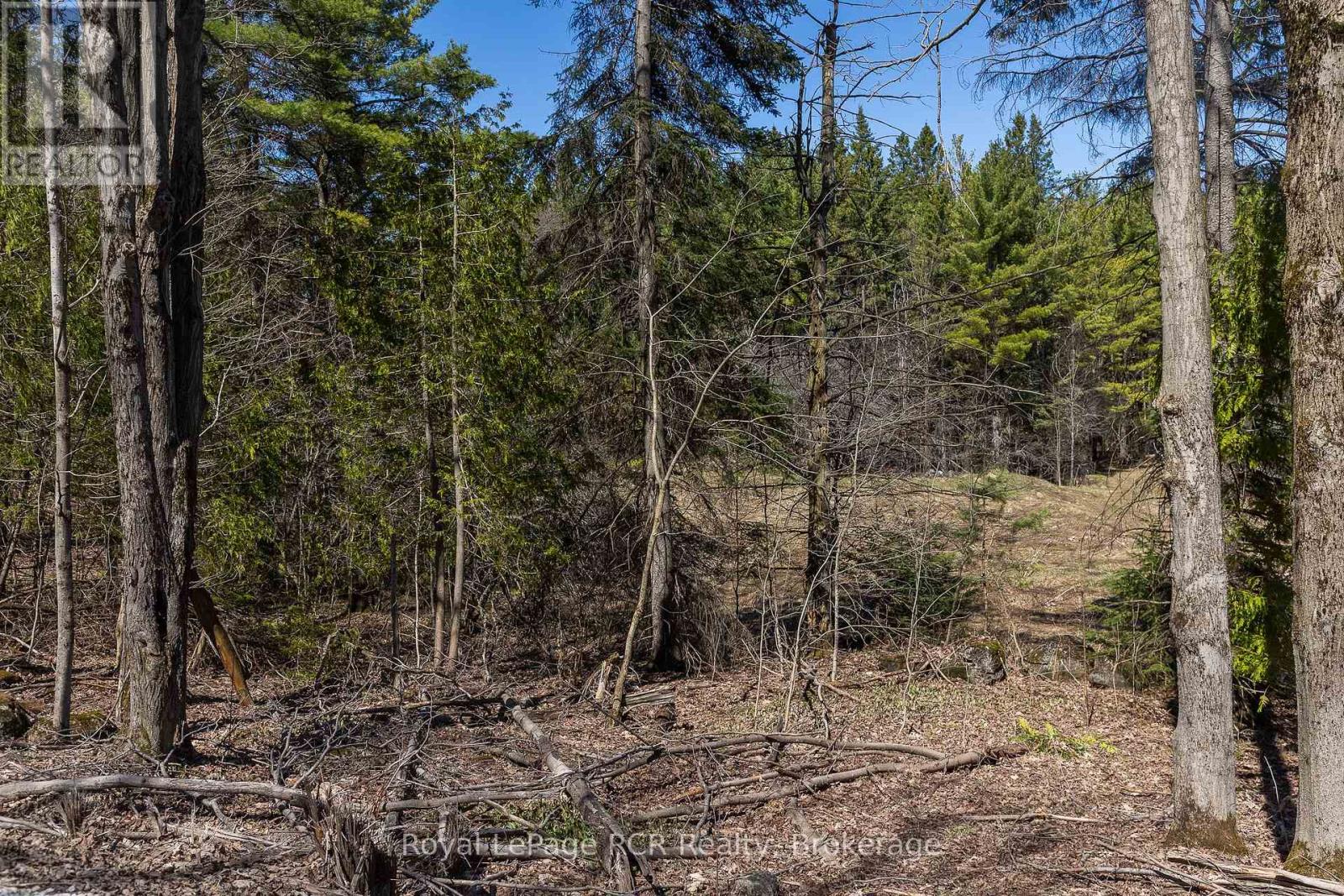 Lot 53/54 West Back Line, Chatsworth, Ontario  N0C 1H0 - Photo 22 - X13048708