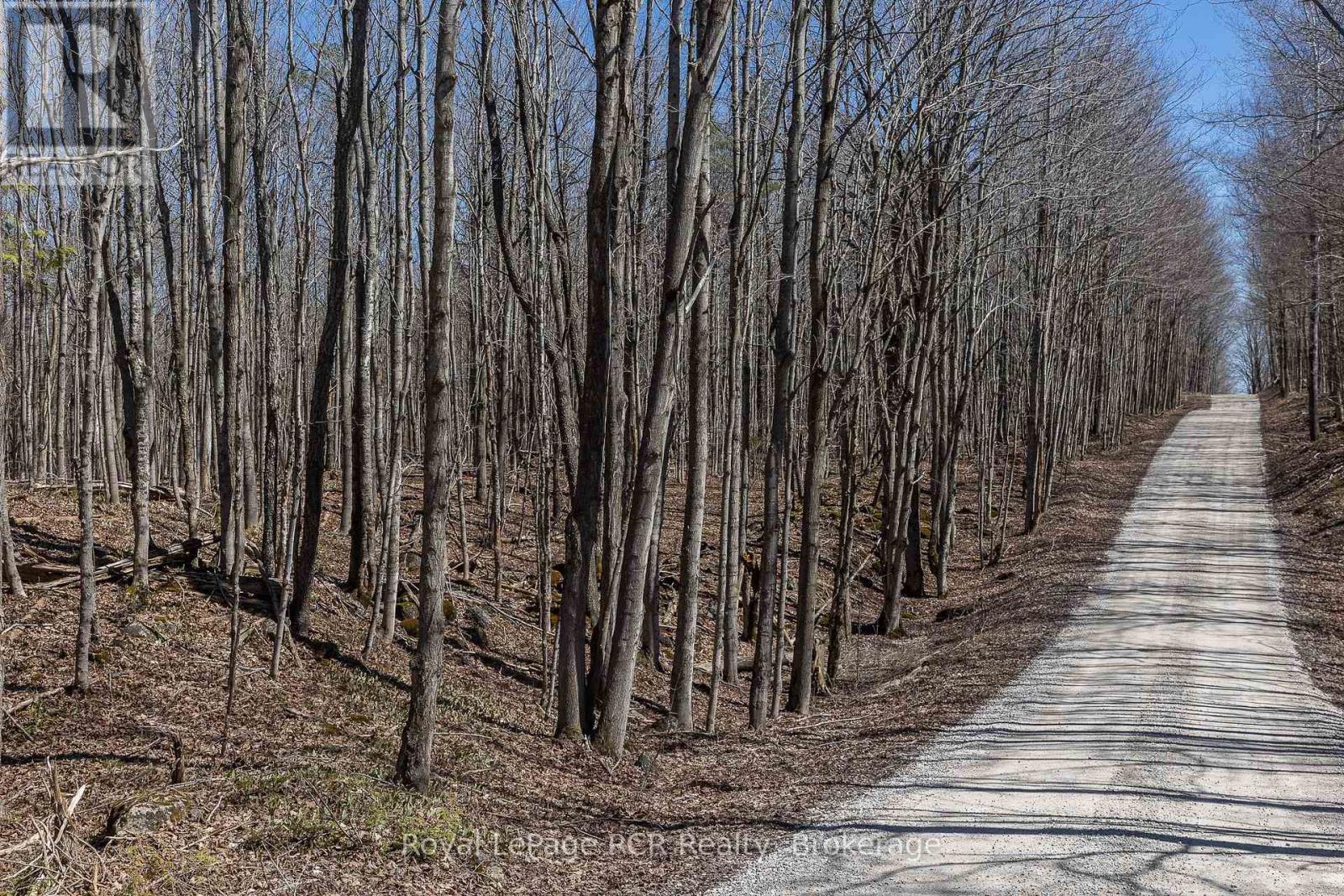 Lot 53/54 West Back Line, Chatsworth, Ontario  N0C 1H0 - Photo 23 - X13048708