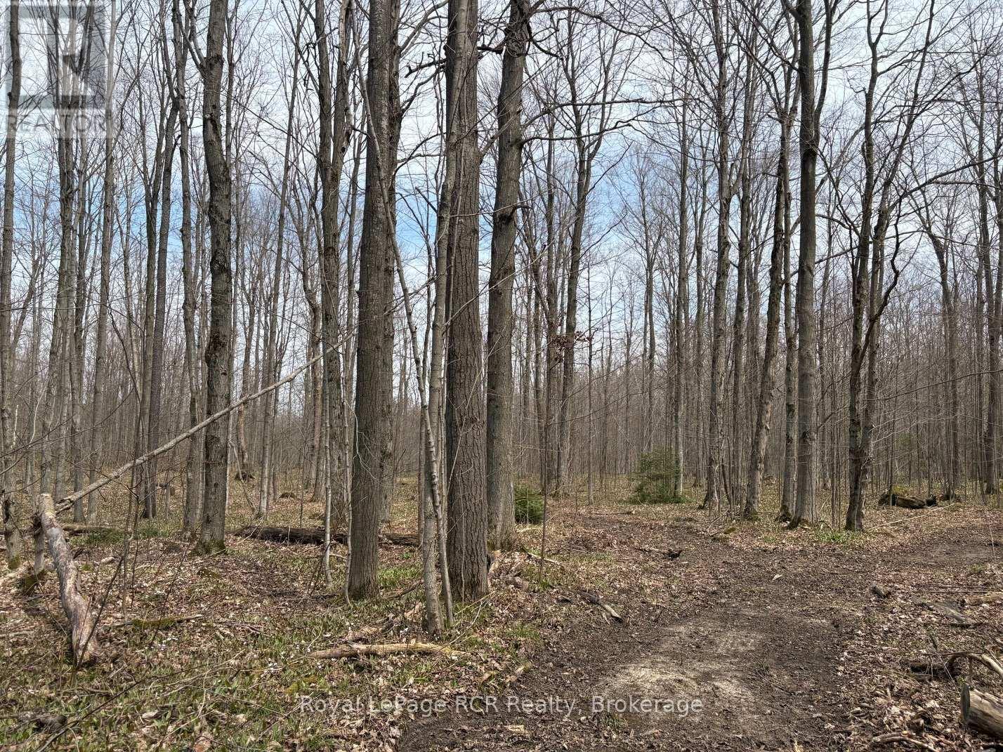 Lot 53/54 West Back Line, Chatsworth, Ontario  N0C 1H0 - Photo 8 - X13048708