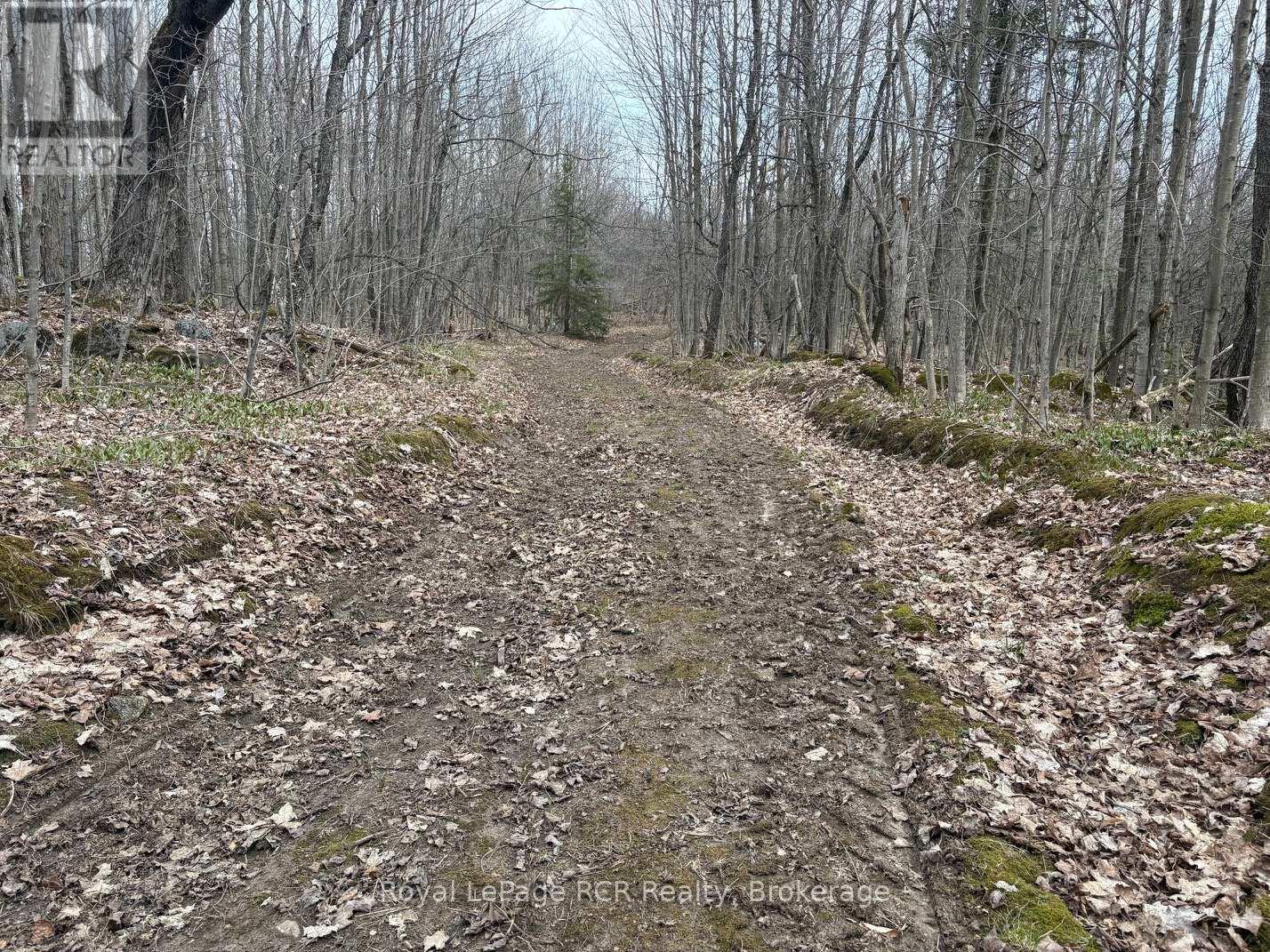 Lot 53/54 West Back Line, Chatsworth, Ontario  N0C 1H0 - Photo 9 - X13048708