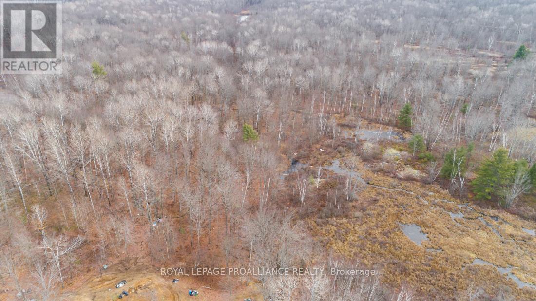 1446 FLINTON ROAD, Tweed, Ontario