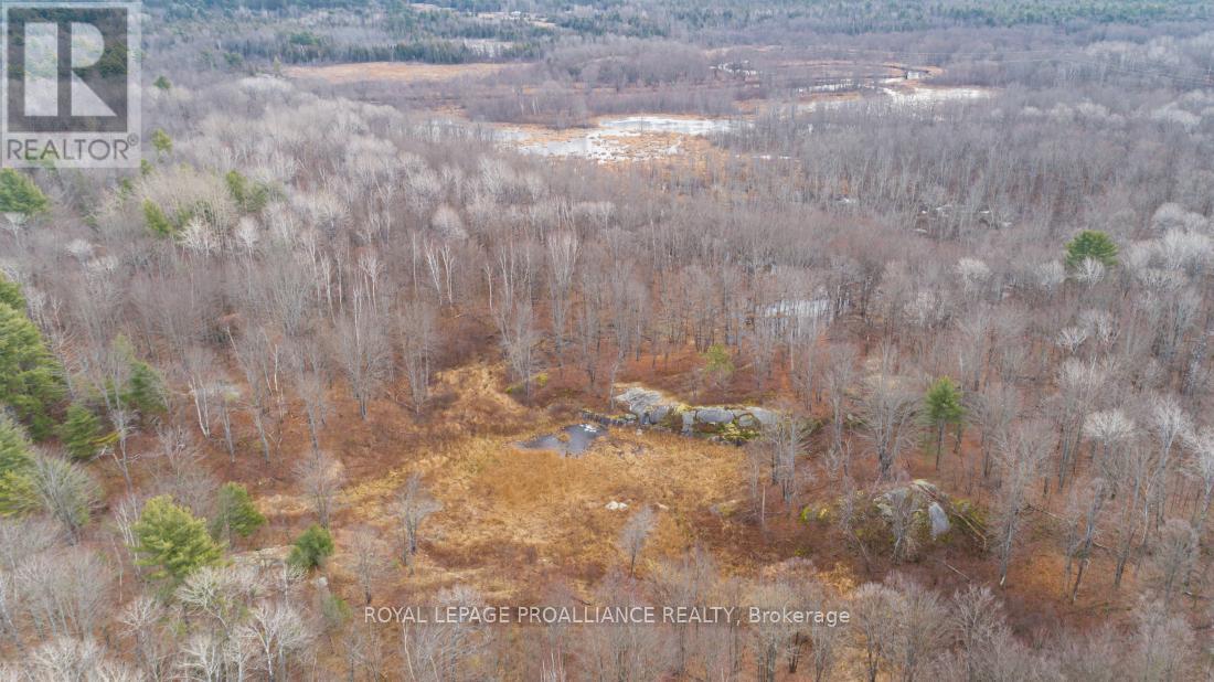 1446 Flinton Road, Tweed, Ontario  K0H 1P0 - Photo 10 - X13048612