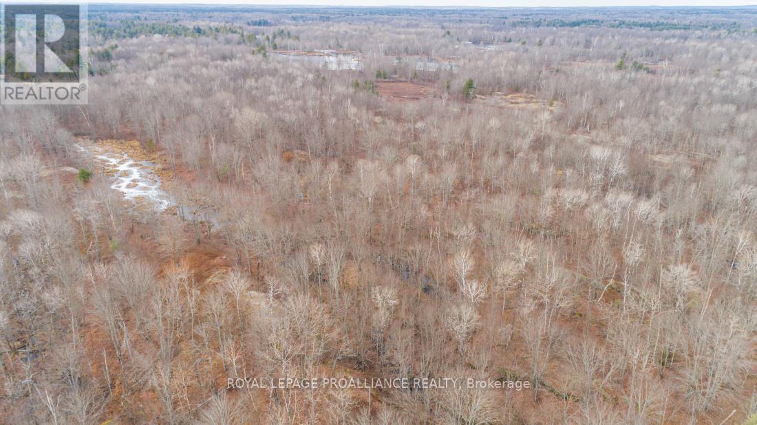 1446 Flinton Road, Tweed, Ontario  K0H 1P0 - Photo 12 - X13048612