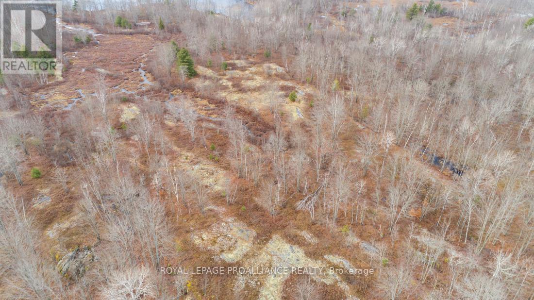 1446 Flinton Road, Tweed, Ontario  K0H 1P0 - Photo 14 - X13048612