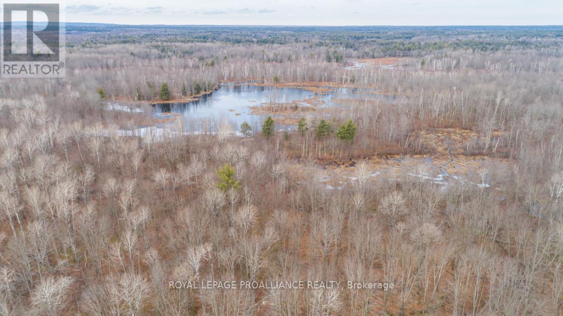 1446 Flinton Road, Tweed, Ontario  K0H 1P0 - Photo 16 - X13048612