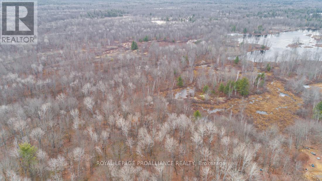 1446 Flinton Road, Tweed, Ontario  K0H 1P0 - Photo 3 - X13048612