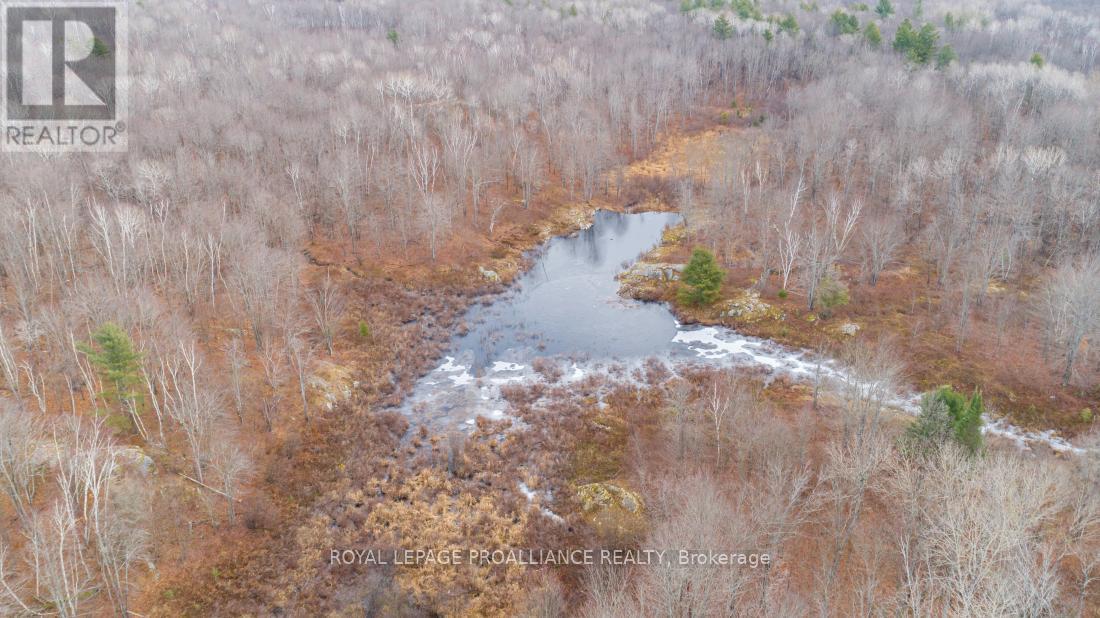 1446 Flinton Road, Tweed, Ontario  K0H 1P0 - Photo 6 - X13048612