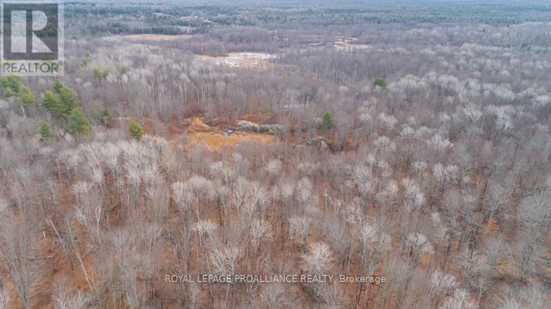 1446 Flinton Road, Tweed, Ontario  K0H 1P0 - Photo 9 - X13048612