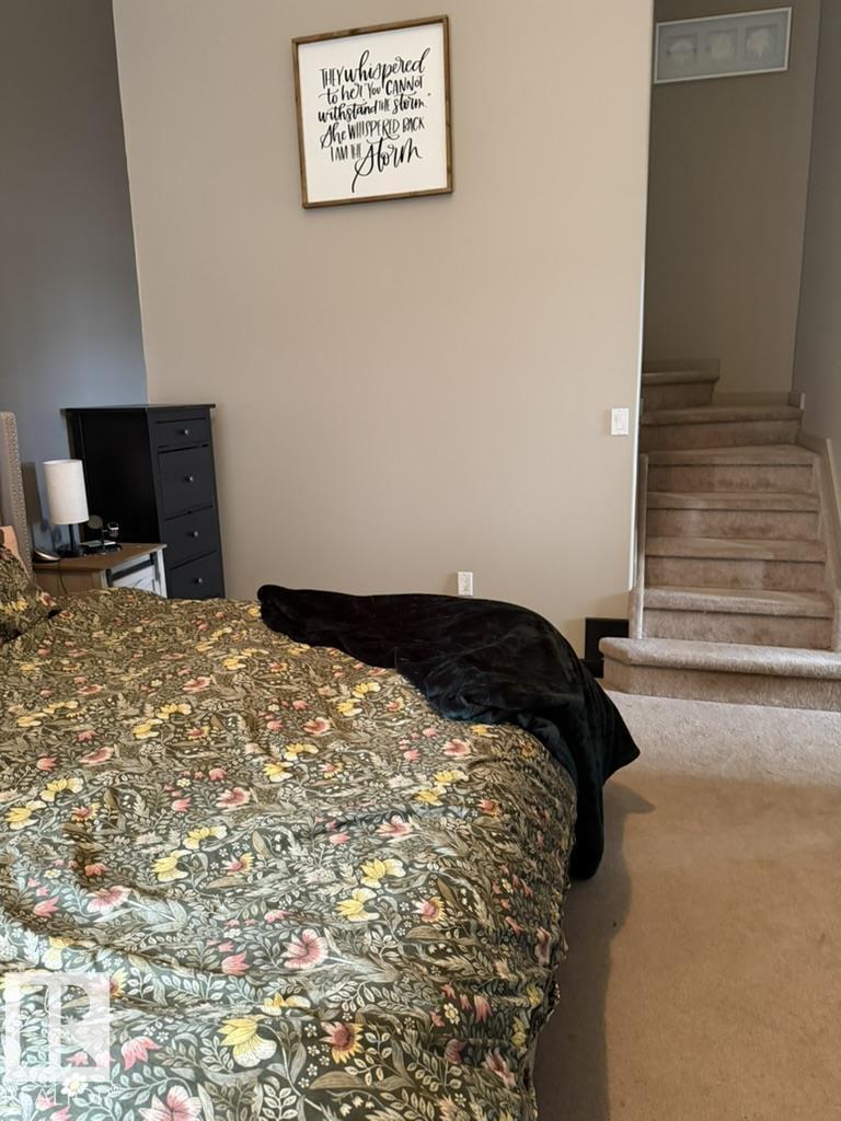 11024 103 St, Westlock, Alberta  T7P 1G6 - Photo 29 - E4484360