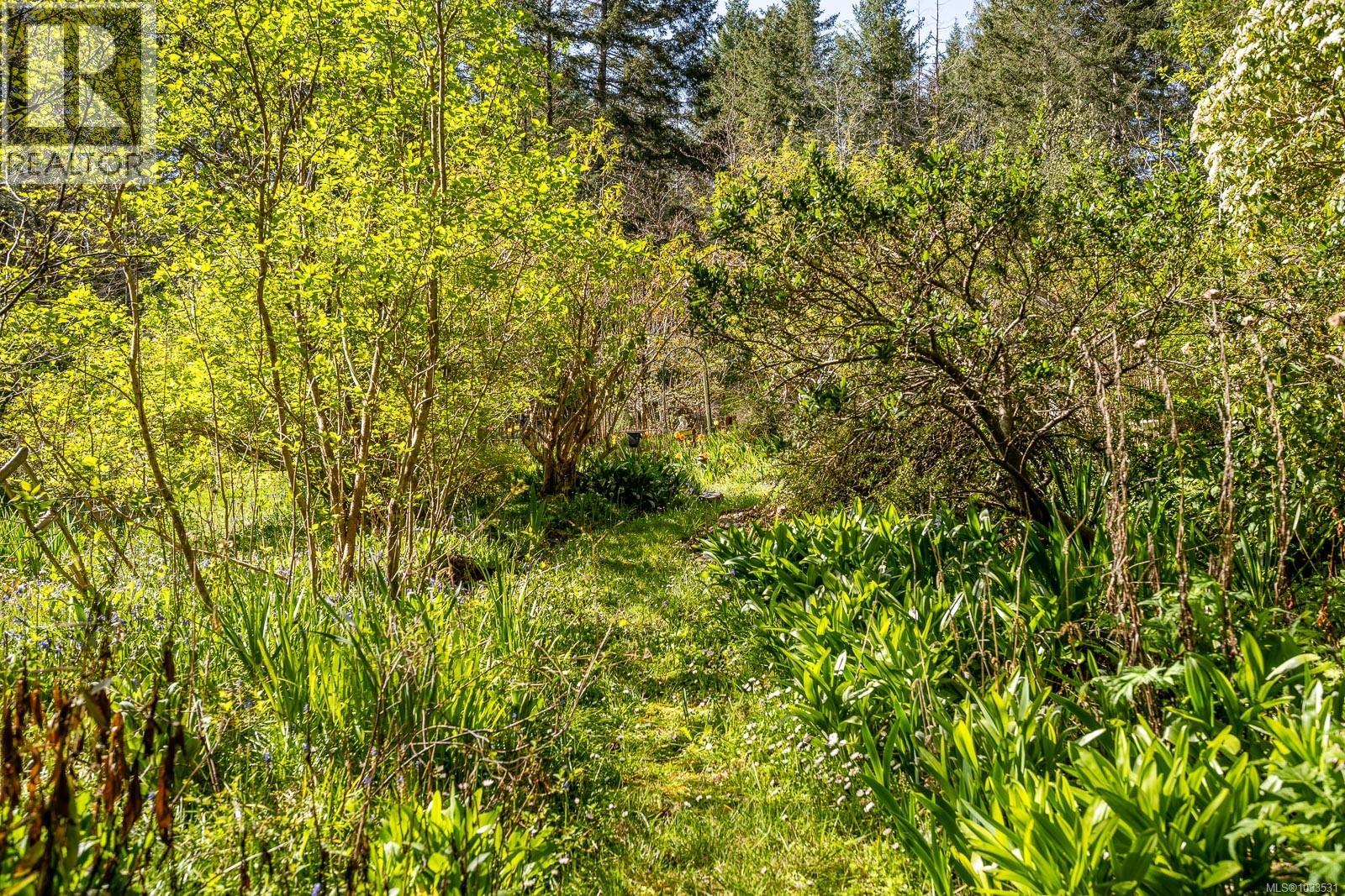 875 Carmichael Rd, Hornby Island, British Columbia  V0R 1Z0 - Photo 30 - 1033531