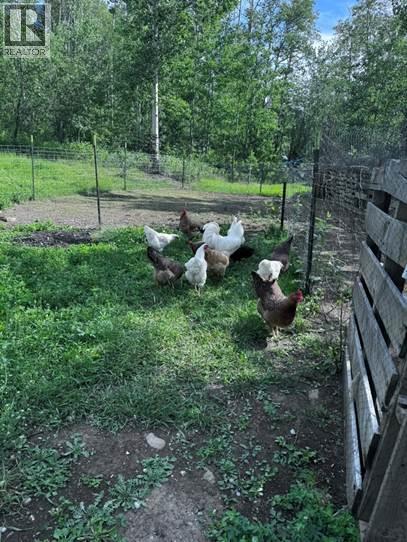 6128 Kurjata Road, Chetwynd, British Columbia  V0C 1J0 - Photo 79 - 10381497