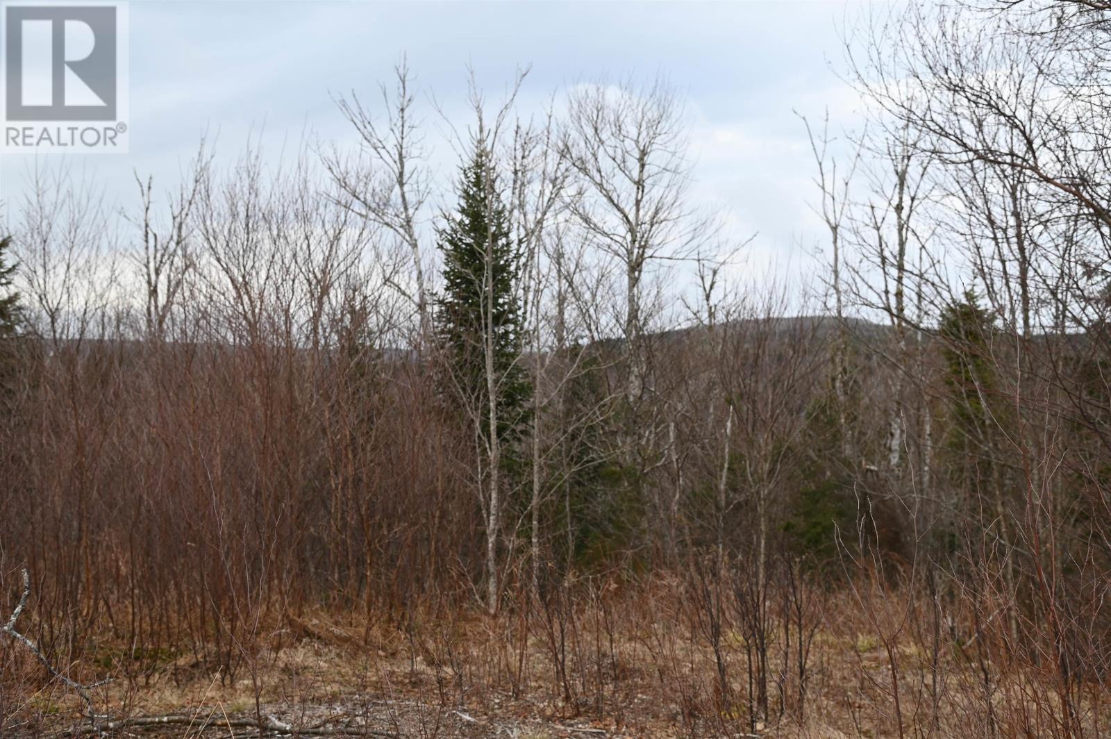 Lot 12-2 Rodney Road, Rodney, Nova Scotia  B0M 1P0 - Photo 16 - 202525356