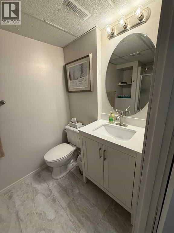 4606 50 Avenue, Vermilion, Alberta  T9X 1R5 - Photo 29 - A2289205