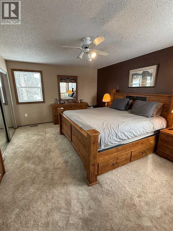 4606 50 Avenue, Vermilion, Alberta  T9X 1R5 - Photo 15 - A2289205