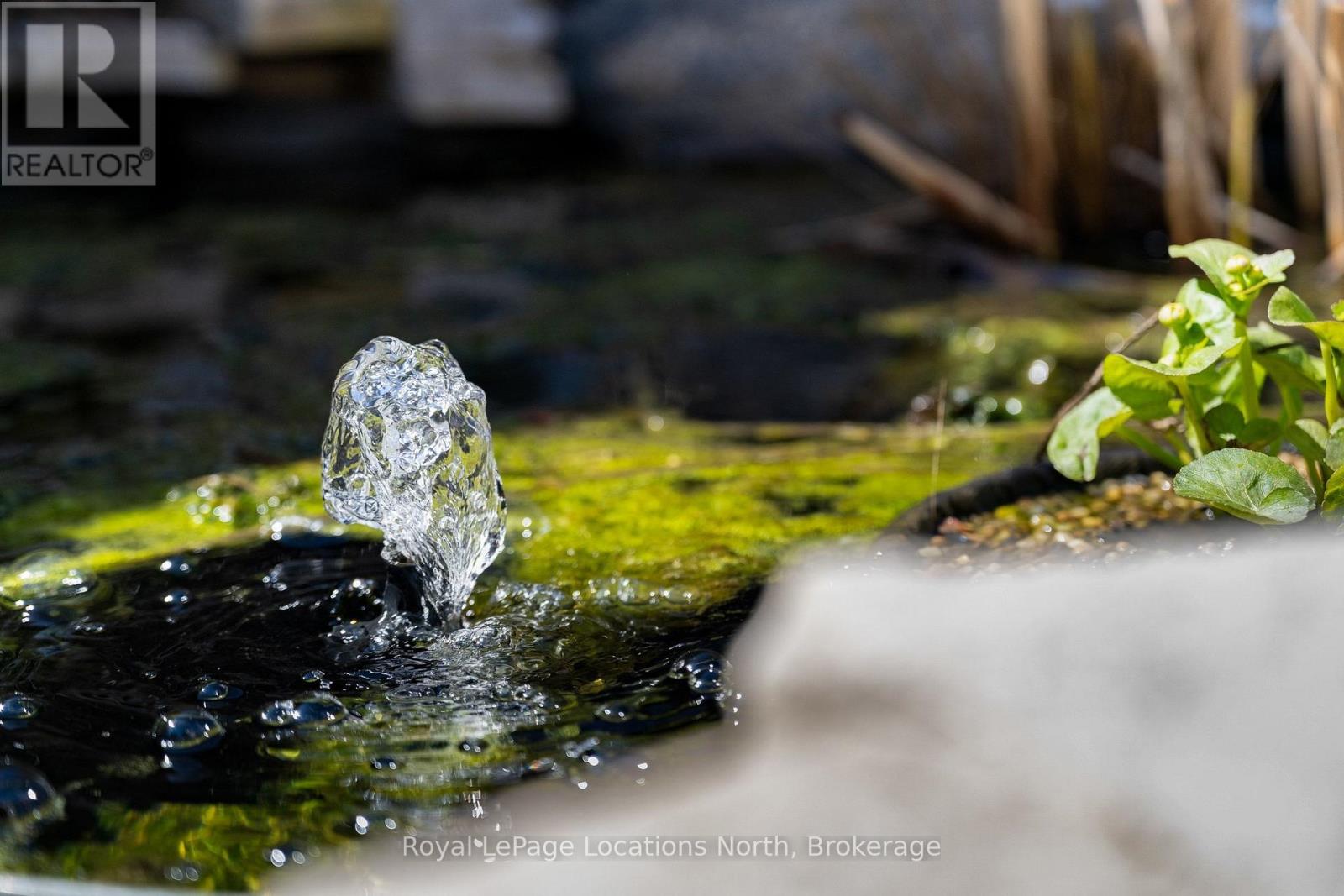 317 Second Street, Collingwood, Ontario  L9Y 1G7 - Photo 5 - S13048750
