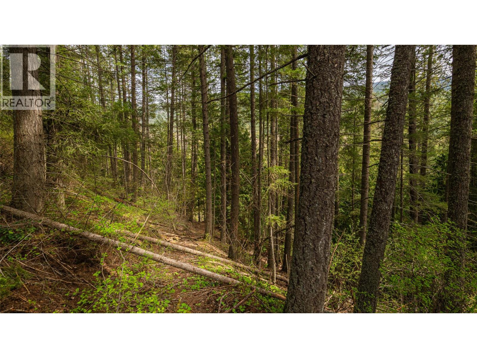 5660 Cory Road, Wynndel, British Columbia  V0B 2N1 - Photo 58 - 10384573