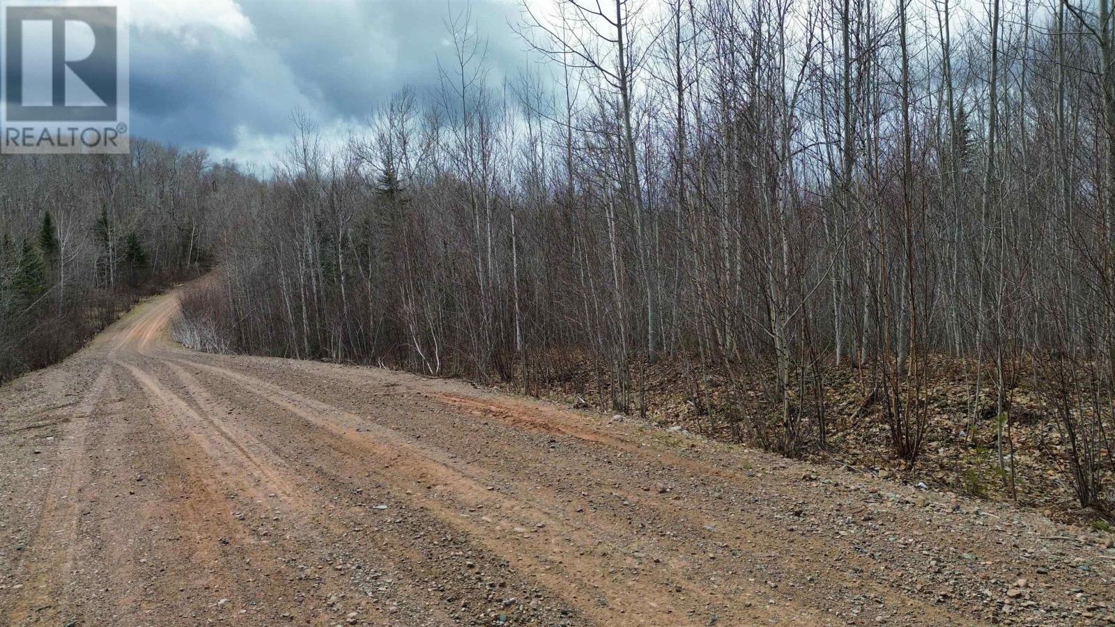 V/l Thomson Road, Birchwood, Nova Scotia  B0M 1P0 - Photo 11 - 202608699