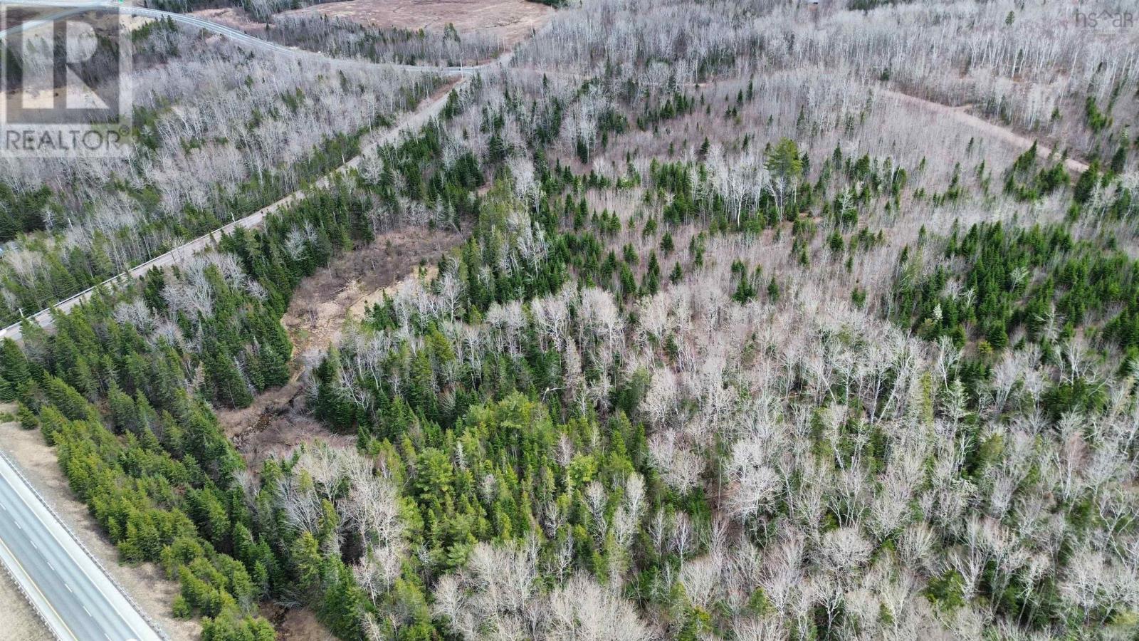 V/l Thomson Road, Birchwood, Nova Scotia  B0M 1P0 - Photo 5 - 202608699