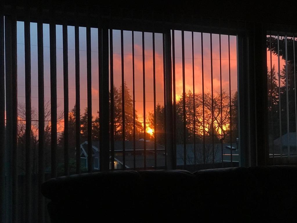 6572 Kempson Crescent, Delta, British Columbia  V4E 1R5 - Photo 6 - R3115654