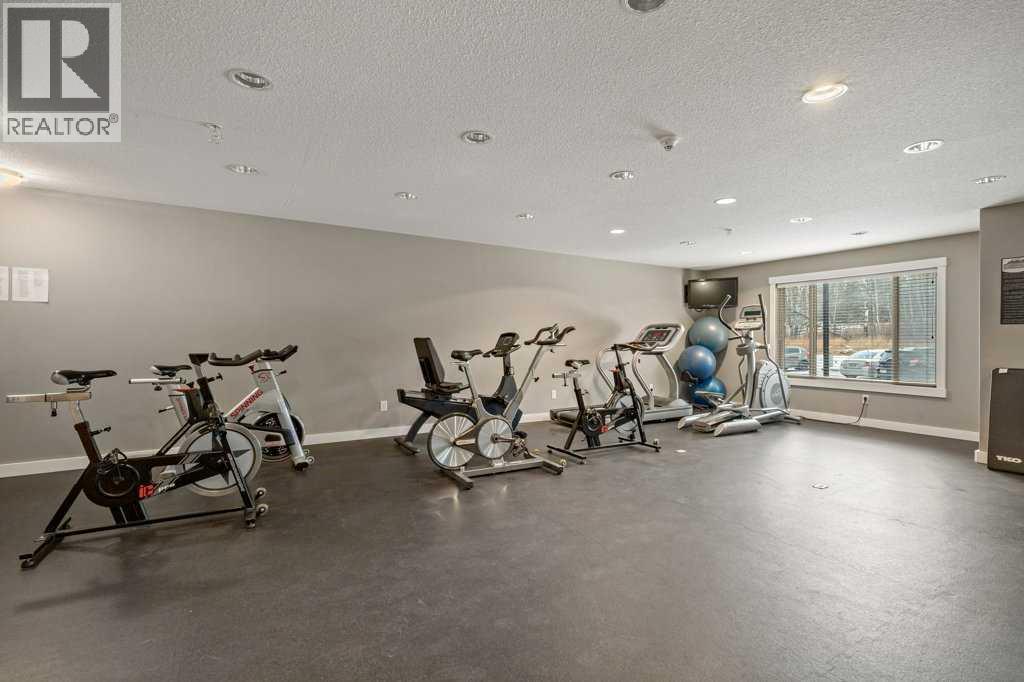 201, 300 Palliser Lane, Canmore, Alberta  T1W 0H5 - Photo 29 - A2302342