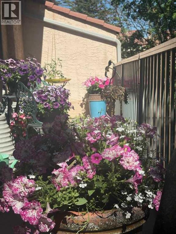 53, 5810 Patina Drive Sw, Calgary, Alberta  T3H 2Y6 - Photo 30 - A2304159