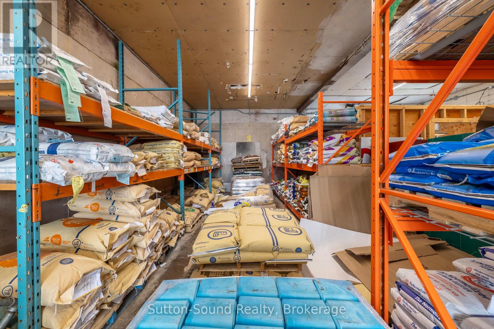 109 1st Avenue N, Arran-Elderslie, Ontario  N0H 1L0 - Photo 15 - X12811746