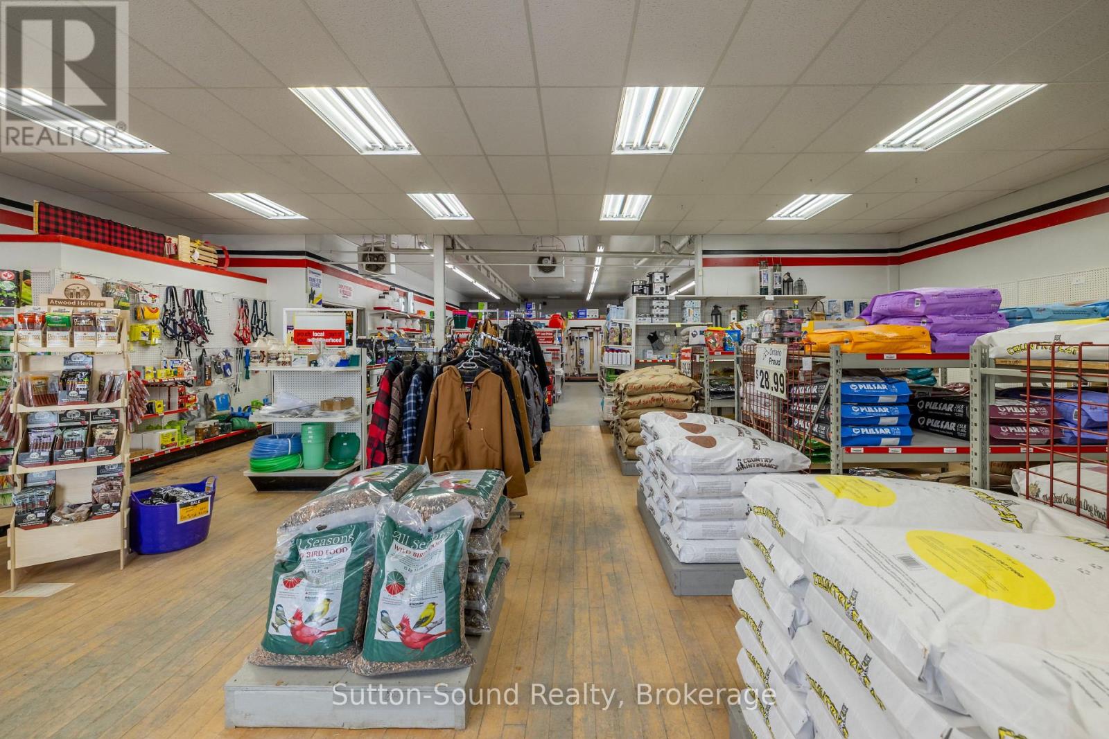 109 1st Avenue N, Arran-Elderslie, Ontario  N0H 1L0 - Photo 6 - X12811746