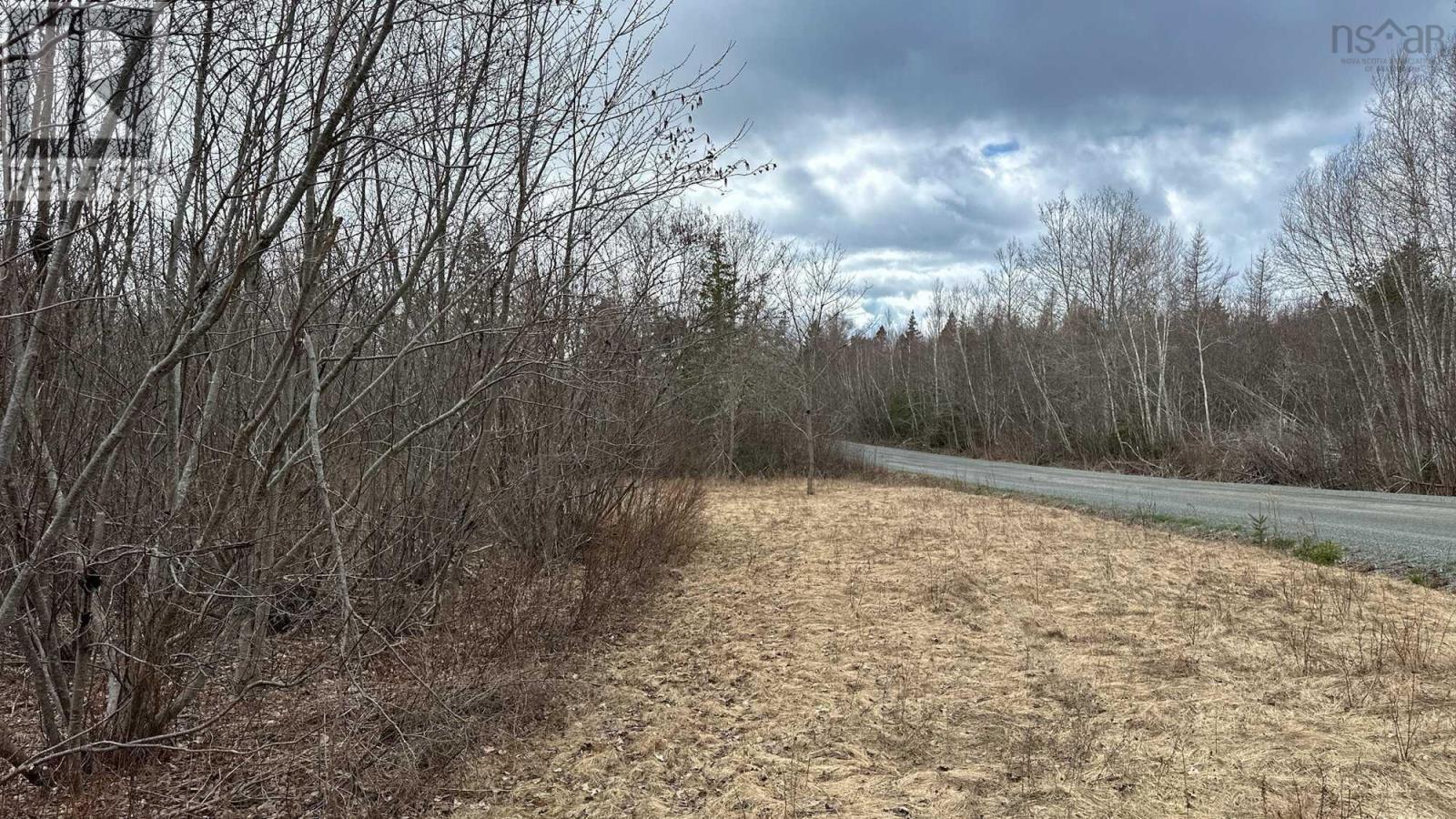 94-1 Angevine Road, Angevine Lake, Nova Scotia  B0K 1Y0 - Photo 6 - 202510972