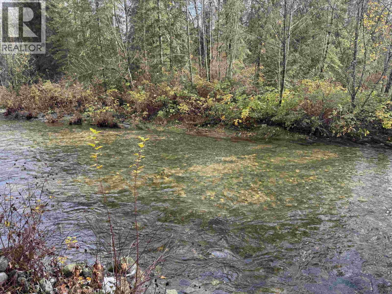 22948 132 Avenue, Maple Ridge, British Columbia  V4R 0A8 - Photo 4 - R3116065