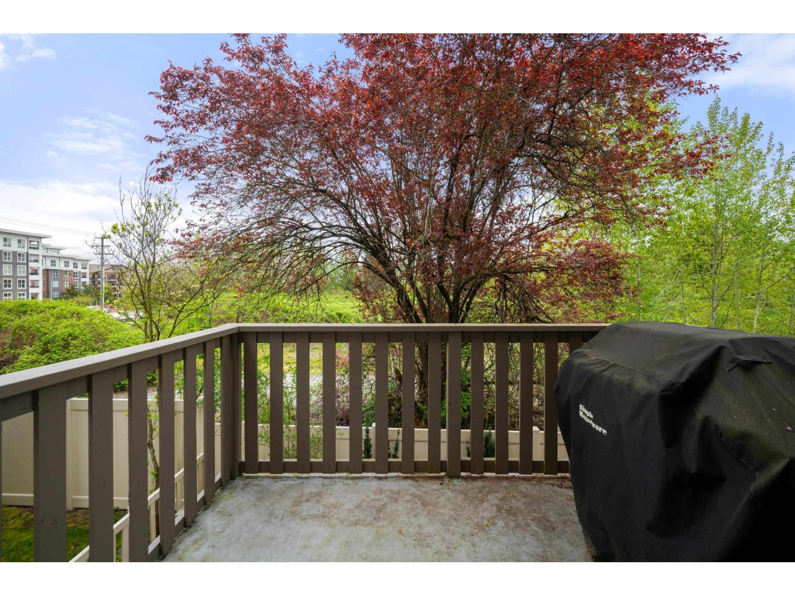 152 20875 80 Avenue, Langley, British Columbia  V2Y 0B2 - Photo 13 - R3115459