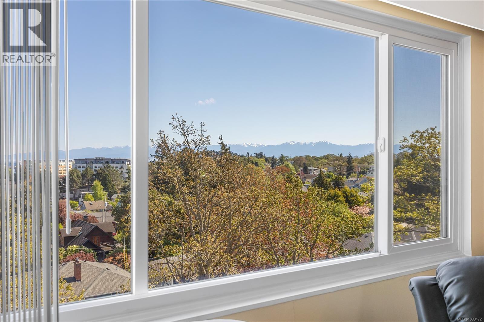 202 929 Esquimalt Rd, Esquimalt, British Columbia  V9A 3M7 - Photo 18 - 1033472