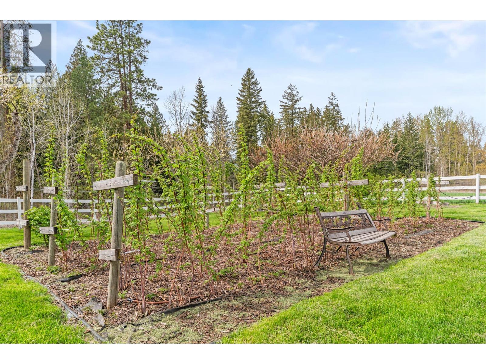 1375 Mountain View Road, Spallumcheen, British Columbia  V4Y 0S4 - Photo 45 - 10384941