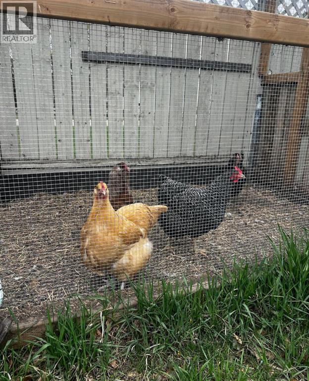 1 Alberta Avenue, Sunnyslope, Alberta  T0M 1J0 - Photo 16 - A2303435