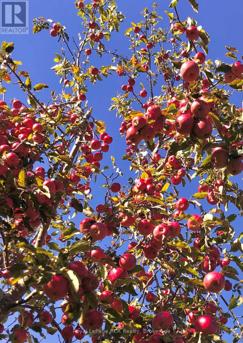 Ptlt 39 Con 25 N E, Georgian Bluffs, Ontario  N0H 2T0 - Photo 10 - X13049222