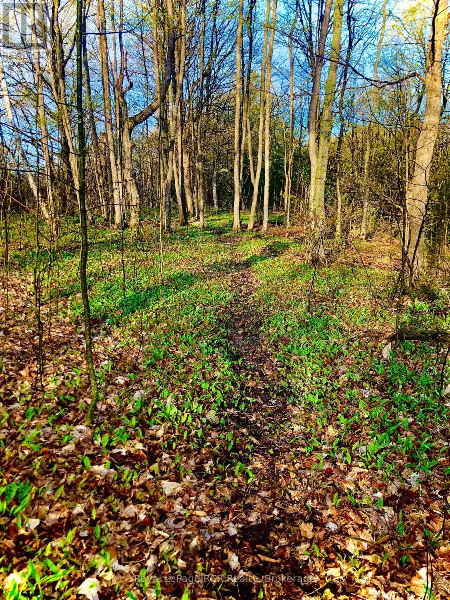 Ptlt 39 Con 25 N E, Georgian Bluffs, Ontario  N0H 2T0 - Photo 14 - X13049222