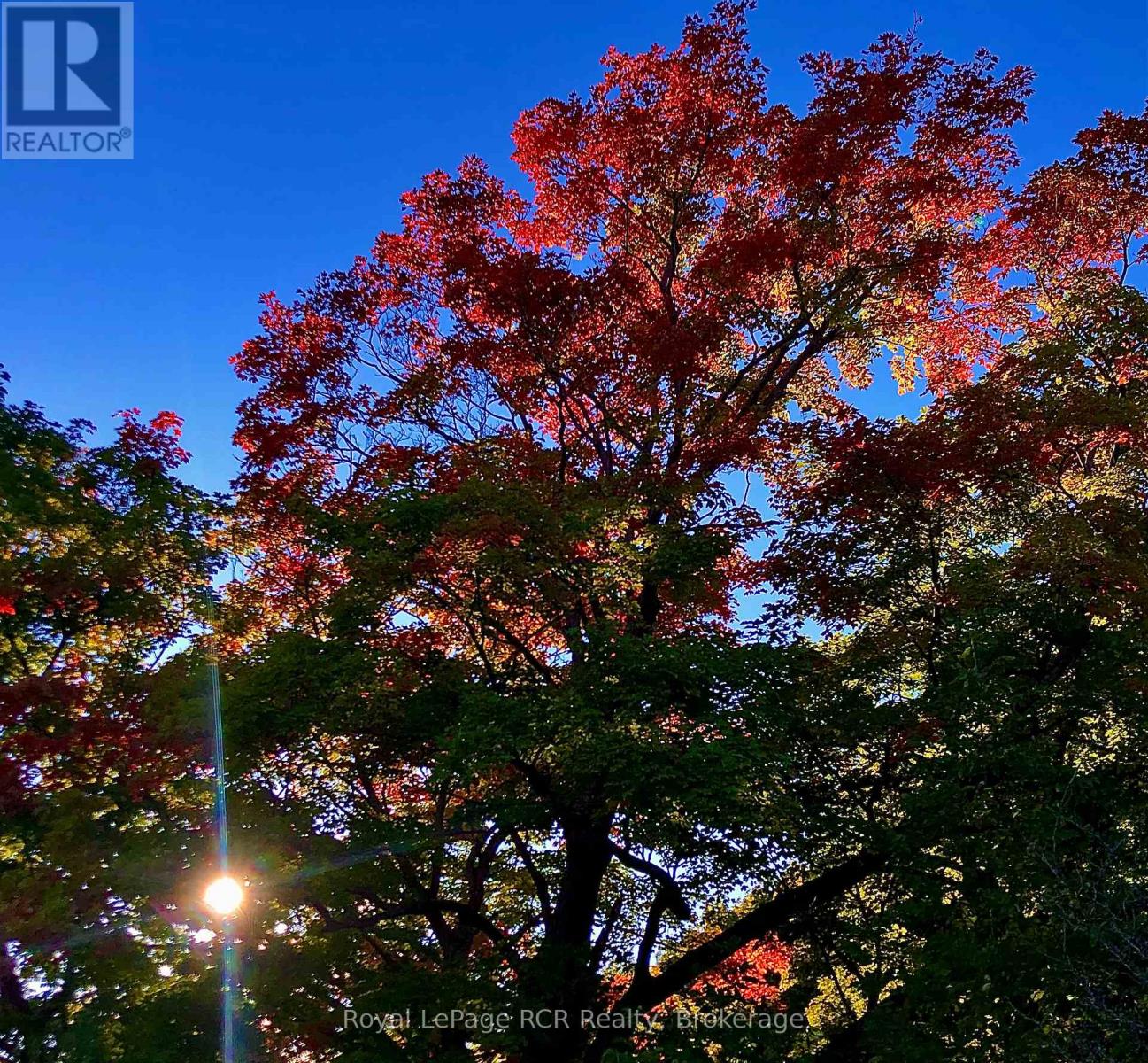 Ptlt 39 Con 25 N E, Georgian Bluffs, Ontario  N0H 2T0 - Photo 16 - X13049222