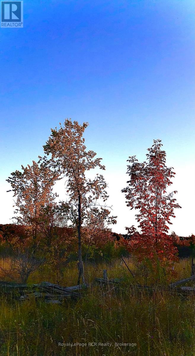 Ptlt 39 Con 25 N E, Georgian Bluffs, Ontario  N0H 2T0 - Photo 17 - X13049222