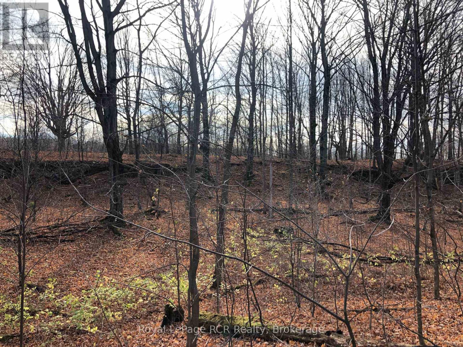 Ptlt 39 Con 25 N E, Georgian Bluffs, Ontario  N0H 2T0 - Photo 19 - X13049222