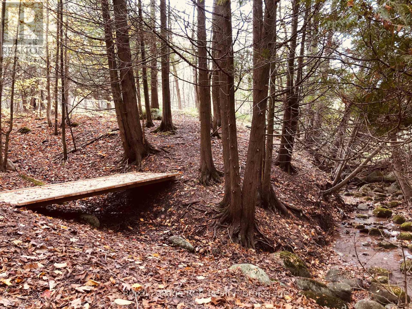 Ptlt 39 Con 25 N E, Georgian Bluffs, Ontario  N0H 2T0 - Photo 20 - X13049222