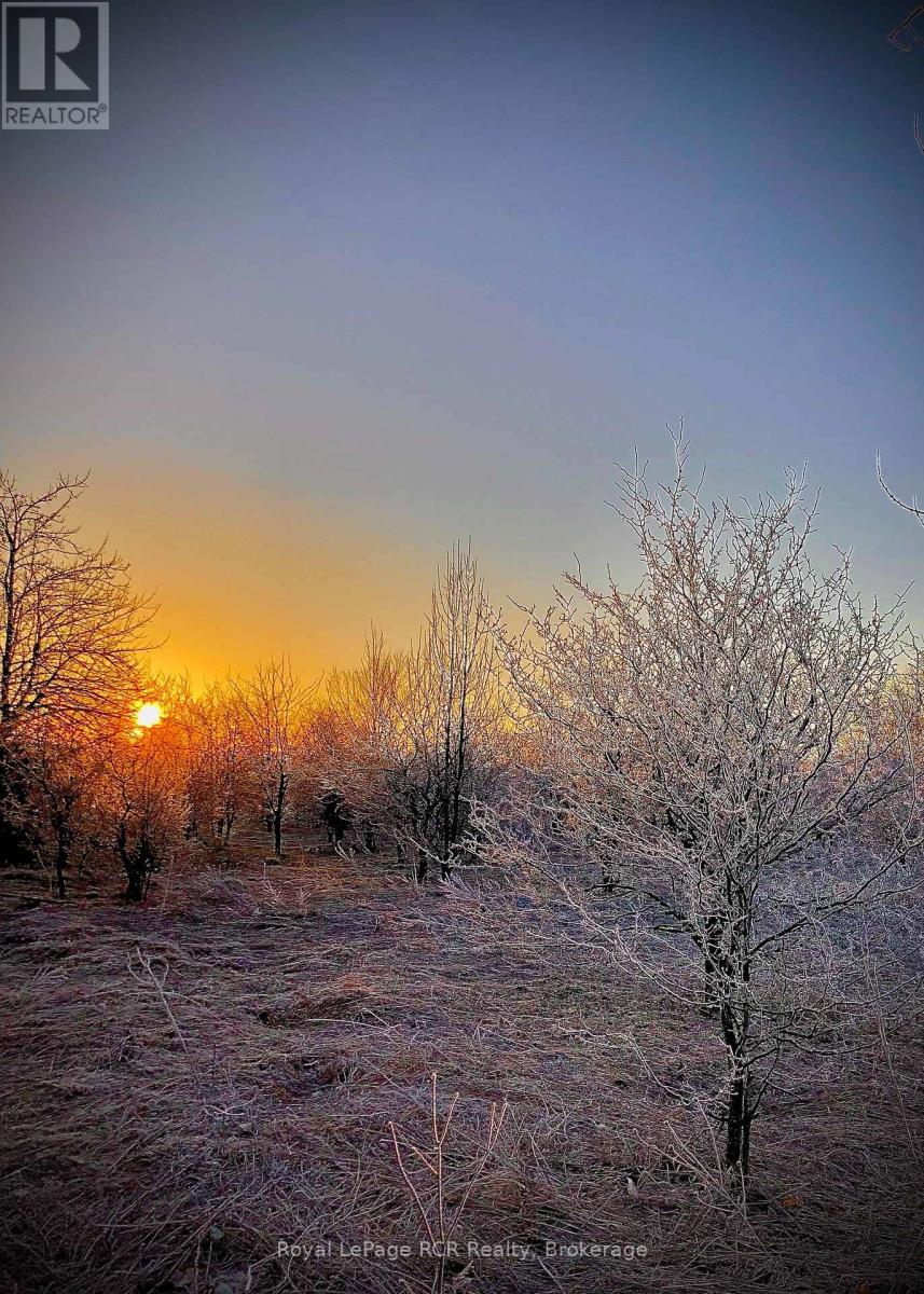 Ptlt 39 Con 25 N E, Georgian Bluffs, Ontario  N0H 2T0 - Photo 22 - X13049222