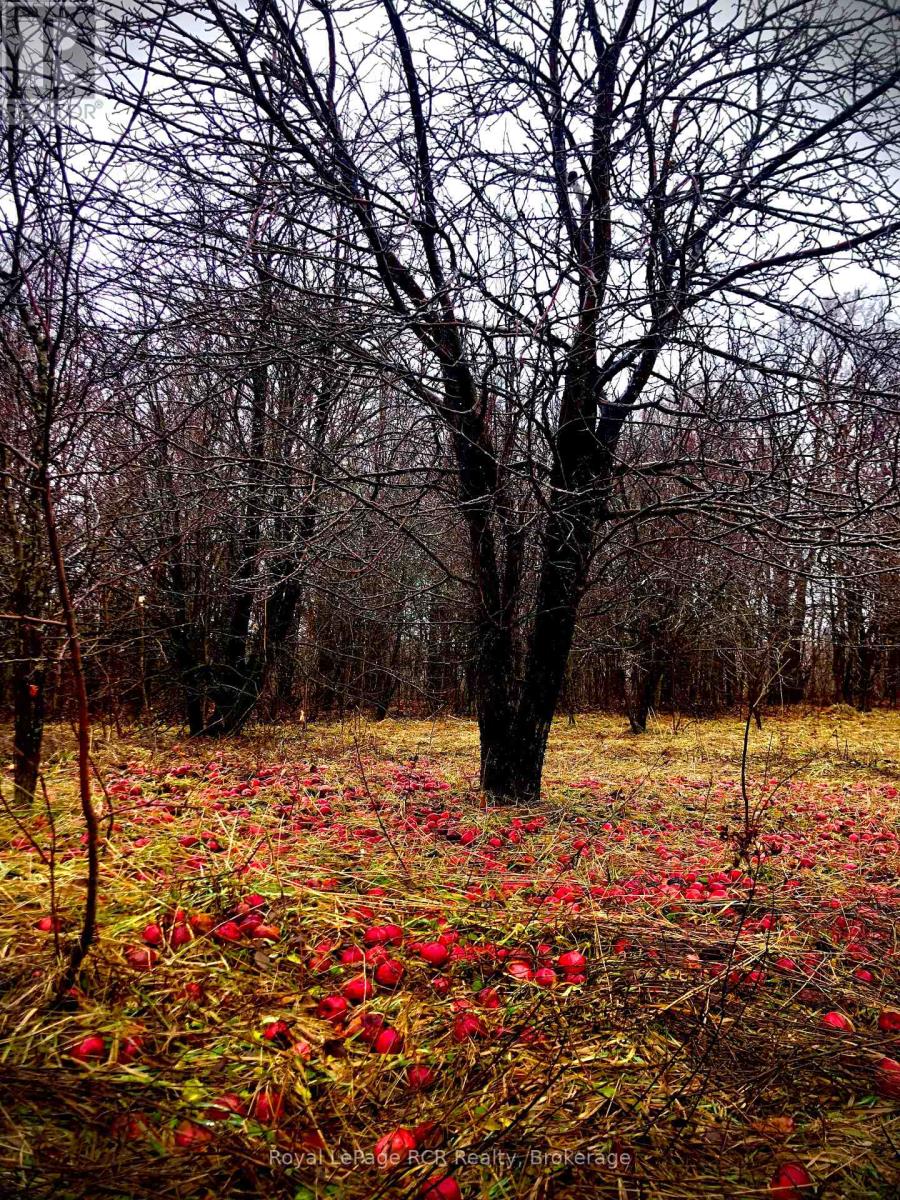 Ptlt 39 Con 25 N E, Georgian Bluffs, Ontario  N0H 2T0 - Photo 9 - X13049222