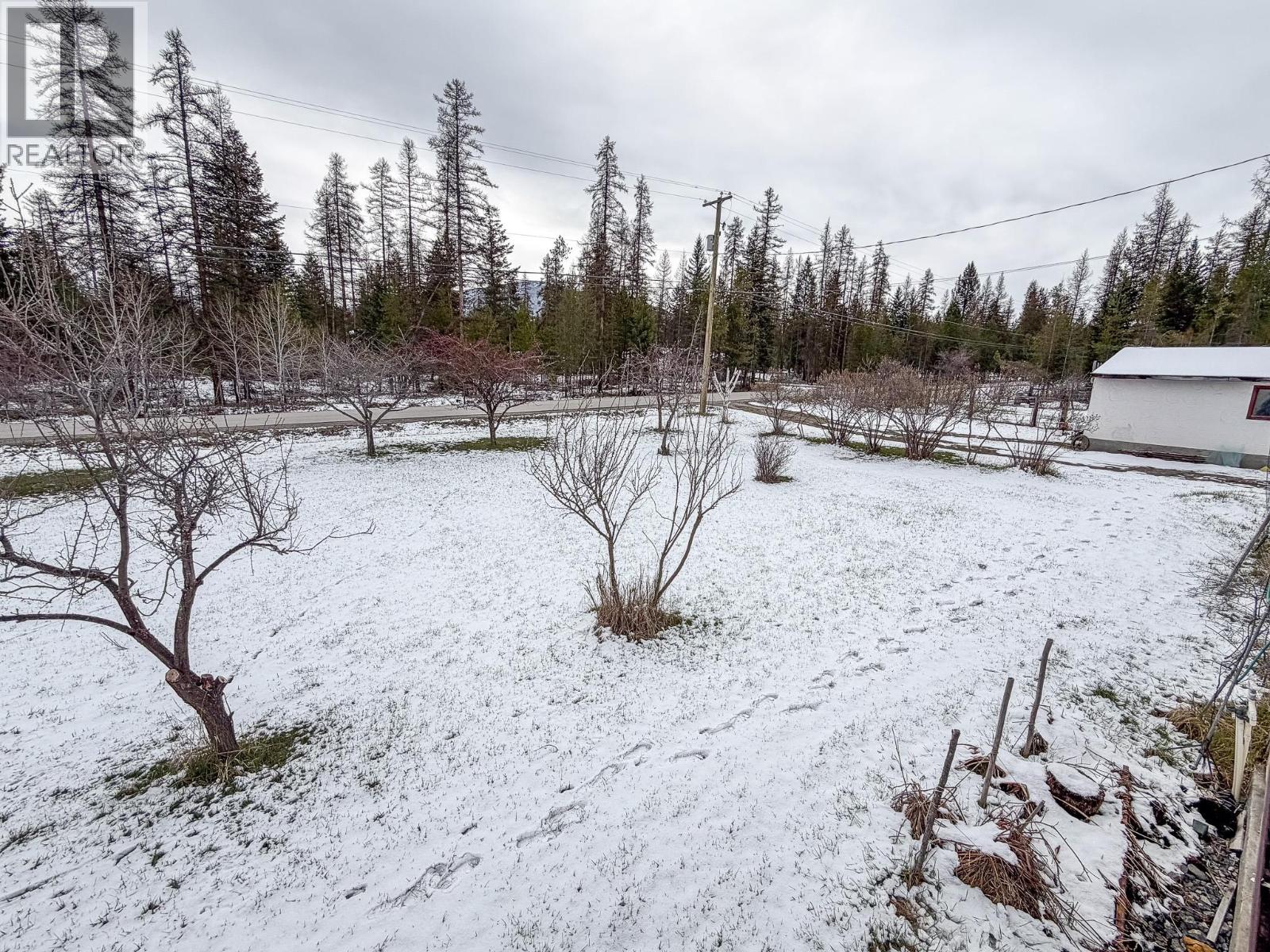 4125 21st Street S, Cranbrook, British Columbia  V1C 7A7 - Photo 29 - 10384829