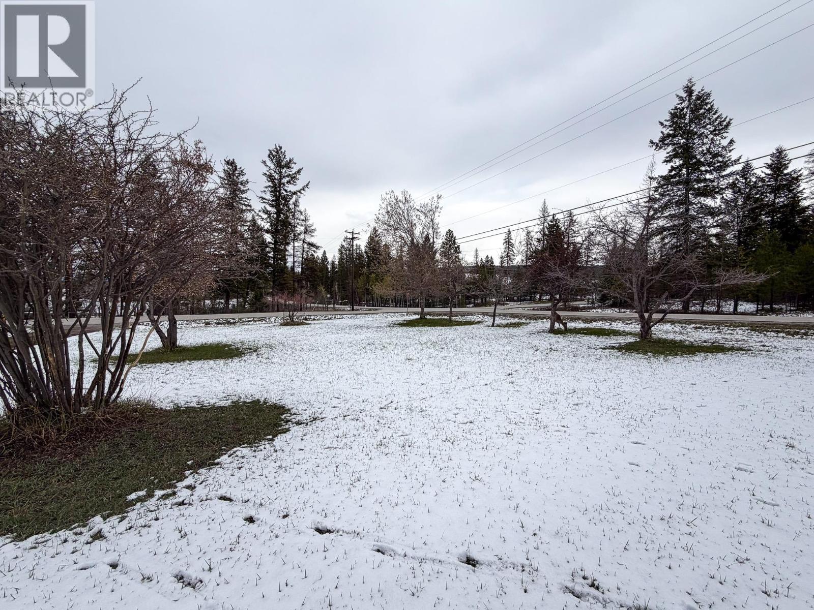 4125 21st Street S, Cranbrook, British Columbia  V1C 7A7 - Photo 30 - 10384829