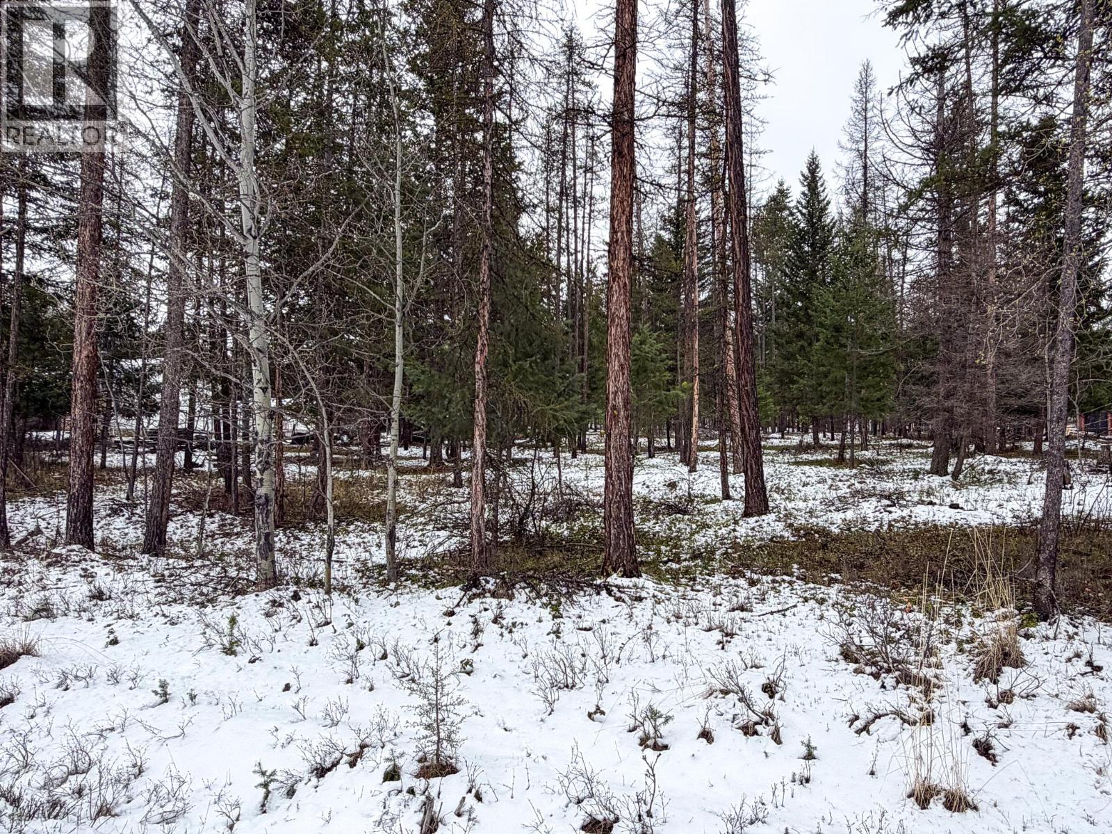 4125 21st Street S, Cranbrook, British Columbia  V1C 7A7 - Photo 34 - 10384829