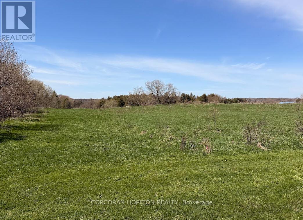 19572 Centre Street, East Gwillimbury, Ontario  L0G 1M0 - Photo 41 - N13049390