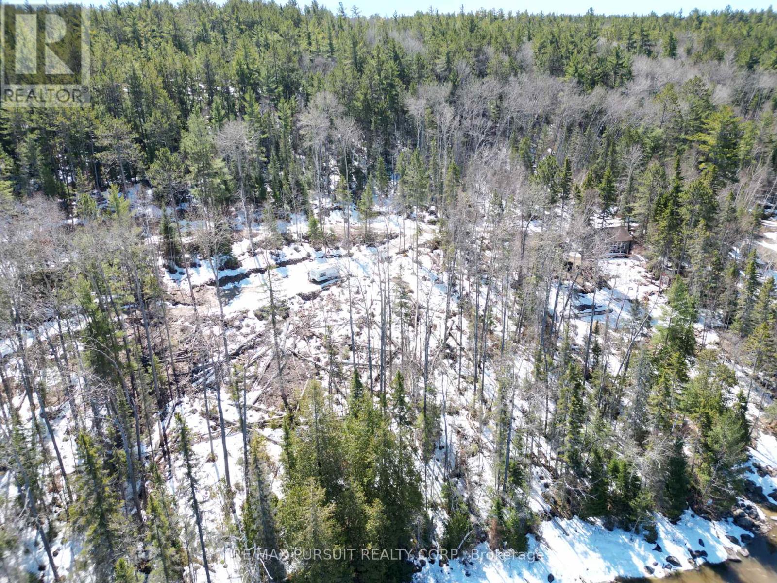 54-C-247082 Part Of Pin 61390-0273, Timiskaming, Ontario  P0J 1R0 - Photo 18 - T12936568