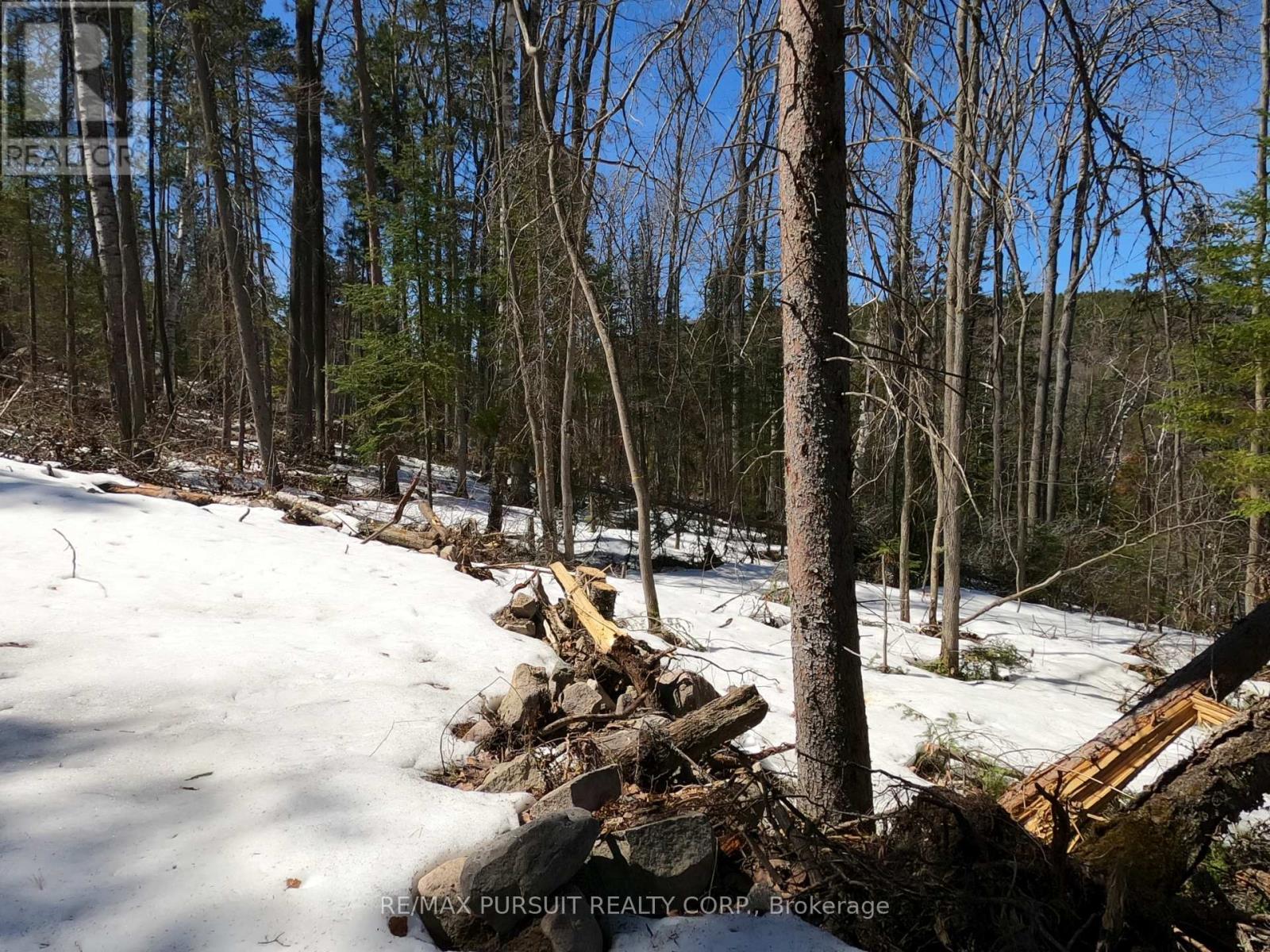 54-C-247082 Part Of Pin 61390-0273, Timiskaming, Ontario  P0J 1R0 - Photo 37 - T12936568