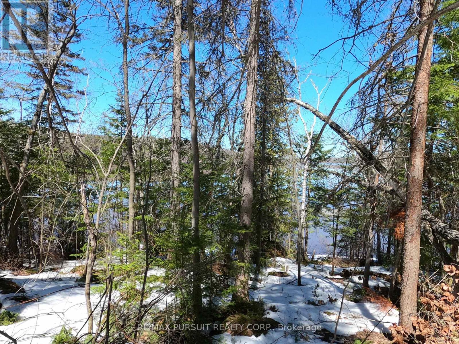 54-C-247082 Part Of Pin 61390-0273, Timiskaming, Ontario  P0J 1R0 - Photo 35 - T12936568